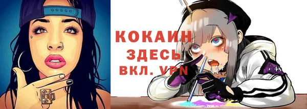 тгк Новозыбков