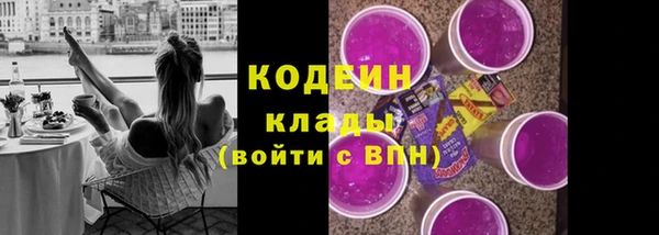 тгк Новозыбков