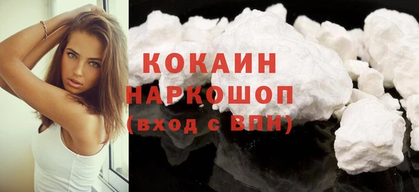 тгк Новозыбков