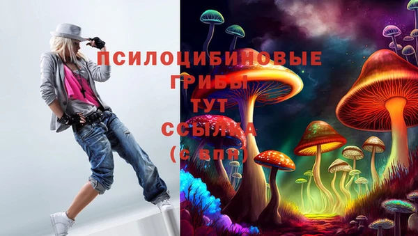 экстази Новодвинск