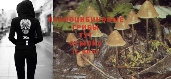 тгк Новозыбков