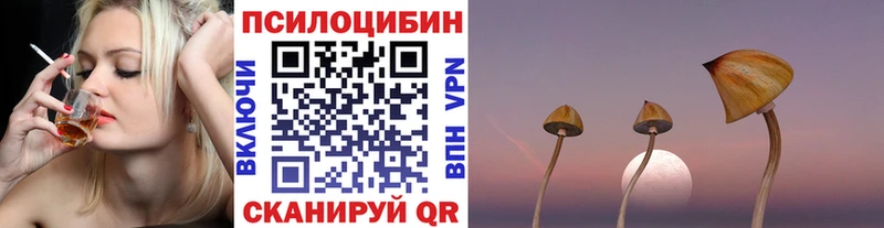 где можно купить   Отрадный  Псилоцибиновые грибы MAGIC MUSHROOMS 